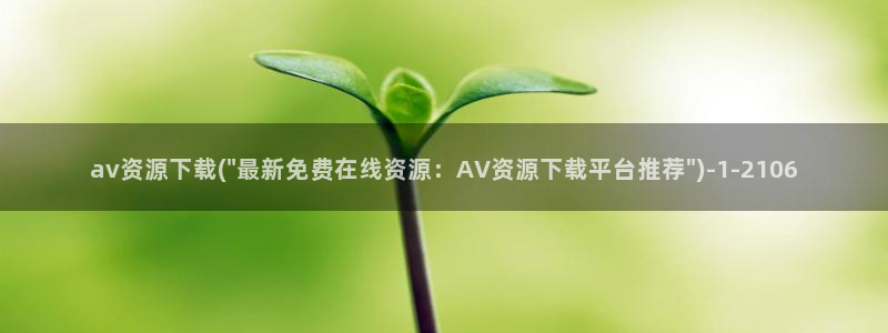 高清AV在线播放