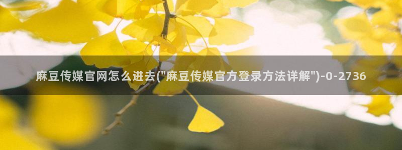 麻豆视传媒断网官：麻豆传媒官网怎么进去(\