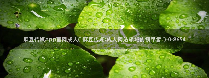 91麻豆传媒app官网：麻豆传媒app官网成人(\