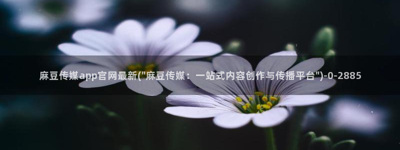 麻豆传媒在线直播官网：麻豆传媒app官网最新(\
