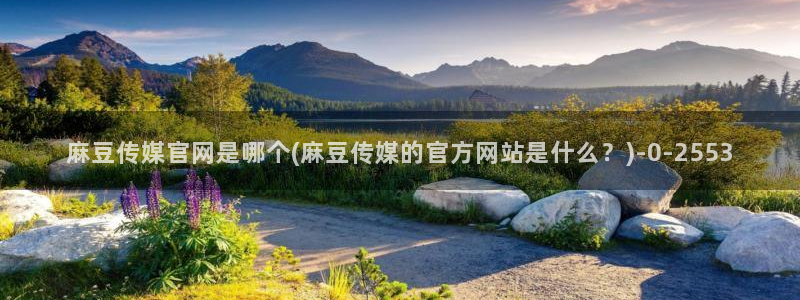 麻豆系列传媒官网：麻豆传媒官网是哪个(麻豆传媒的官方网站是什么？)