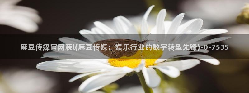 麻豆传媒官网欧美玲：麻豆传媒官网装l(麻豆传媒：娱乐行业的数字转型先锋)