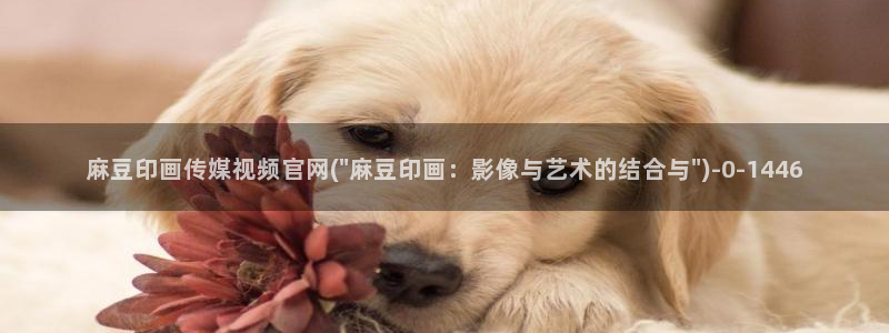 麻豆传媒官网 视频：麻豆印画传媒视频官网(\