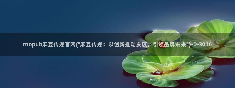 91麻豆精品传媒官网：mopub麻豆传媒官网(\