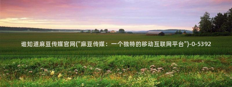 成人麻豆传媒官网：谁知道麻豆传媒官网(\