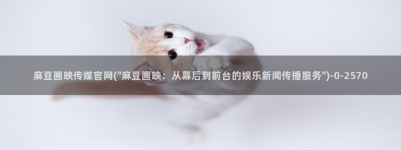 台湾麻豆传媒原创官网：麻豆画映传媒官网(\