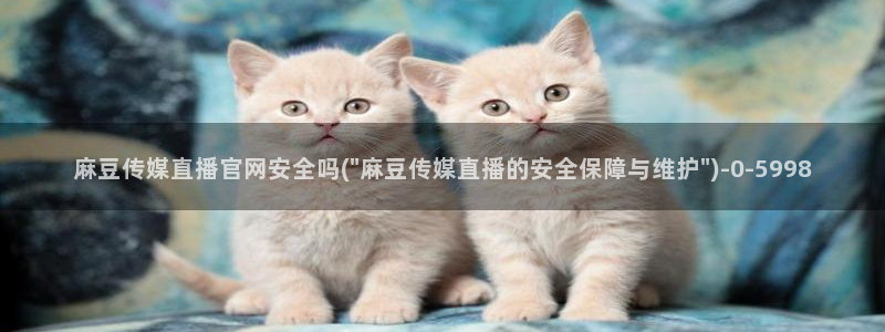 麻豆tv传媒官网入口：麻豆传媒直播官网安全吗(\