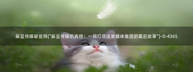 麻豆传媒传播官网：麻豆传媒破官网(\