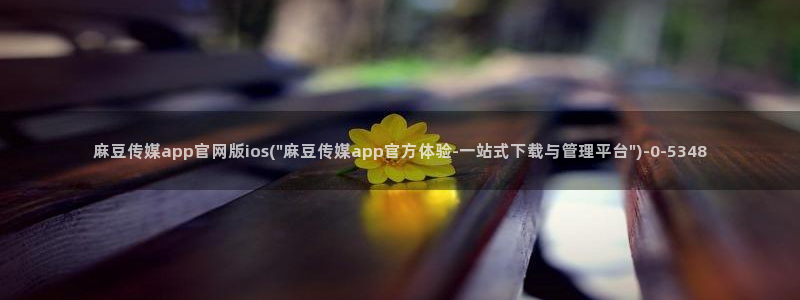 麻豆视传媒官网在哪：麻豆传媒app官网版ios(\