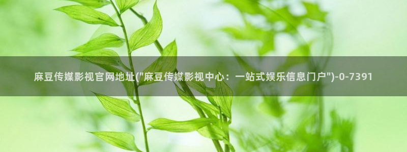 传媒的官网麻豆：麻豆传媒影视官网地址(\