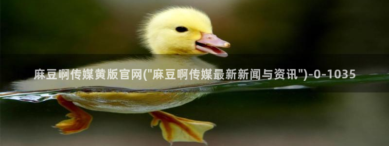 麻豆传媒官网18