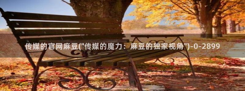 麻豆映画传媒官网首页黄