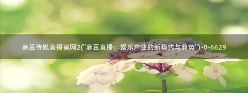 麻豆传媒官网综合：麻豆传媒直播官网2(\