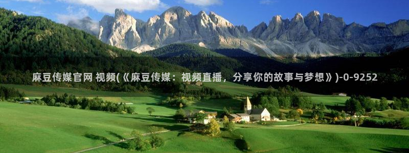 麻豆官网传媒视频