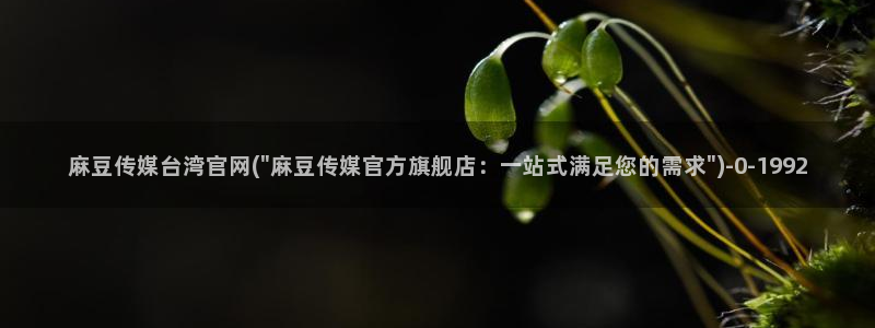 国产麻豆传媒官网：麻豆传媒台湾官网(\
